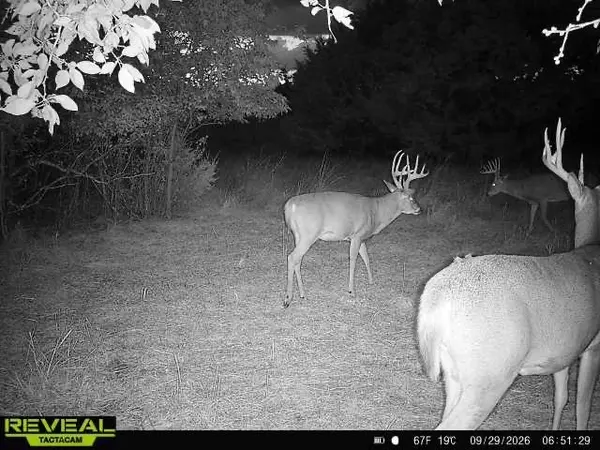 00000 201st RD, Burden, KS 67019-9348
