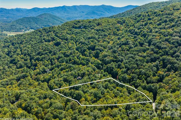 29 Wood Haven LN, Black Mountain, NC 28711