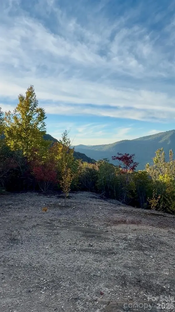 Lot # 42 Black Rock Creek RD, Qualla, NC 28779
