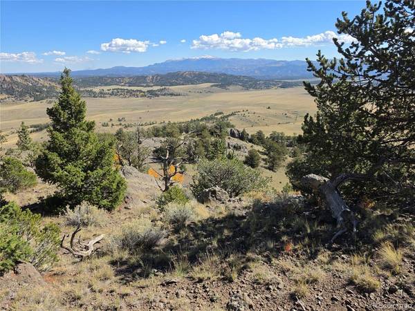TBD, Guffey, CO 80820
