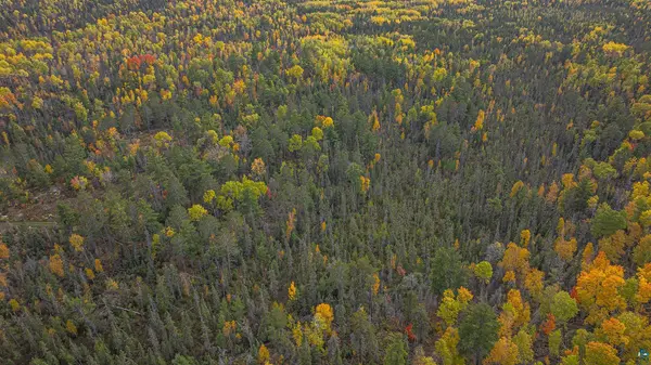 1668 Golden Ridge Tr, Ely, MN 55731