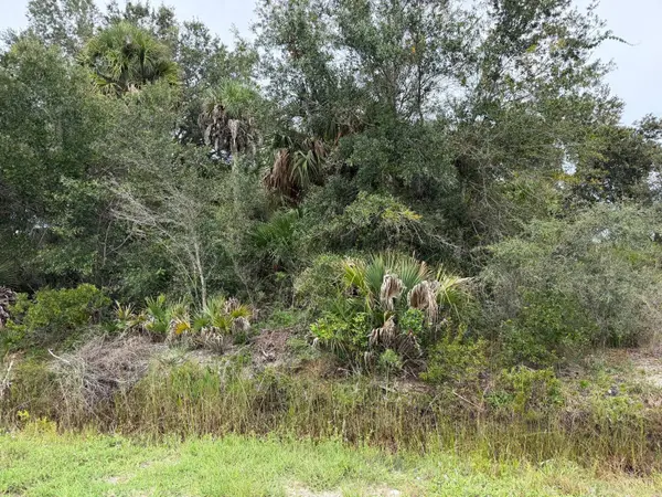 16434 NW 318TH ST, Okeechobee, FL 34972
