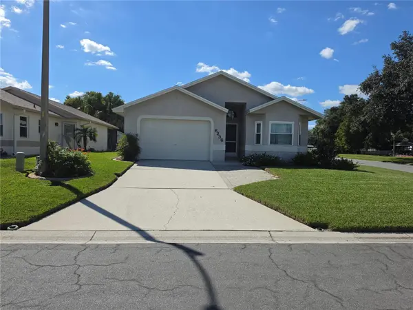 6236 RAVEN RUN, Lakeland, FL 33809
