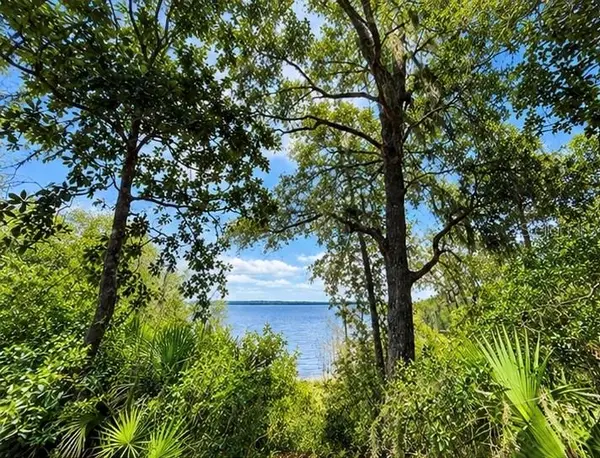TBD NE 245TH STREET ROAD, Fort Mc Coy, FL 32134