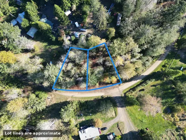 1 XX W Hamma Hamma DR, Elma, WA 98541