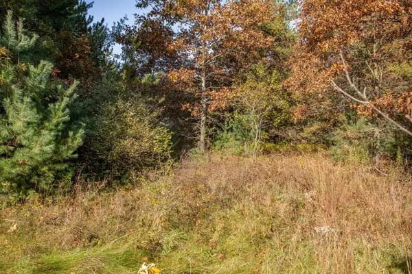 ANIWA LN #3, Plainfield, WI 54966