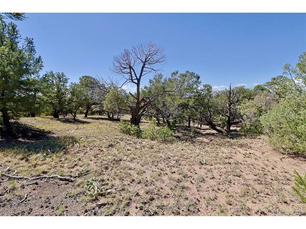 1731 Willow Creek, Crestone, CO 81131