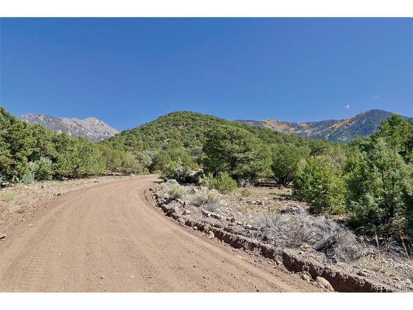 1731 Willow Creek, Crestone, CO 81131