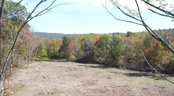 TBD (East Lot) W Hill RD, Austerlitz, NY 12017