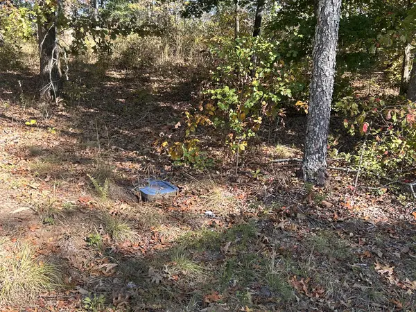 142 Whispering Oaks St, Summertown, TN 38483