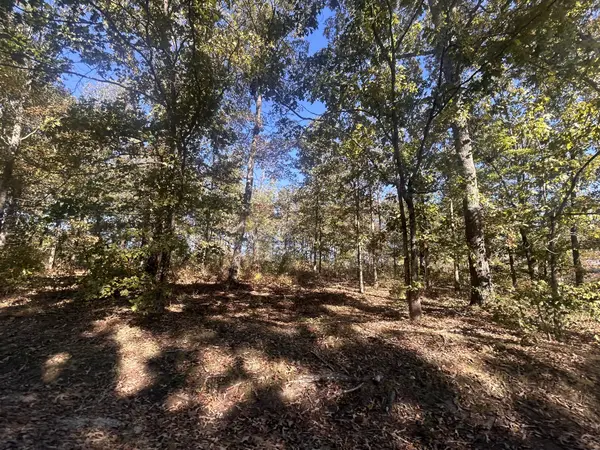 142 Whispering Oaks St, Summertown, TN 38483