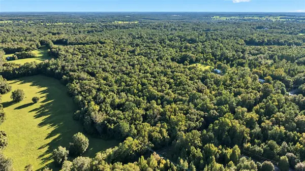 TBD NW 200TH ST, Micanopy, FL 32667