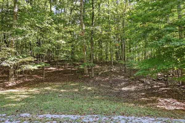 0 Azalea Ln, Mc Minnville, TN 37110