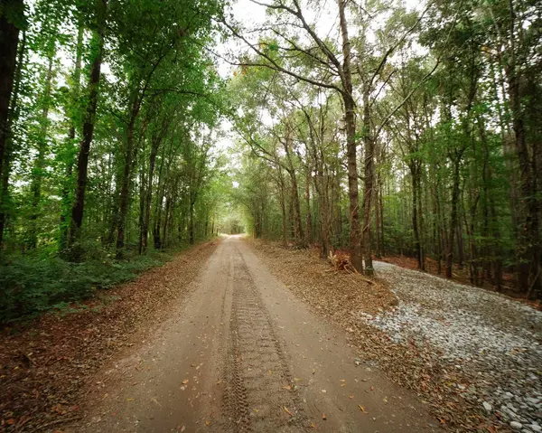 0 Gene Fleming RD, Iva, SC 29655