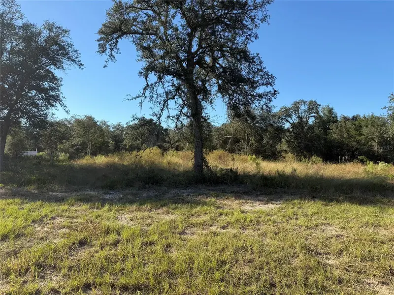 TBD NE 106TH TER, Bronson, FL 32621
