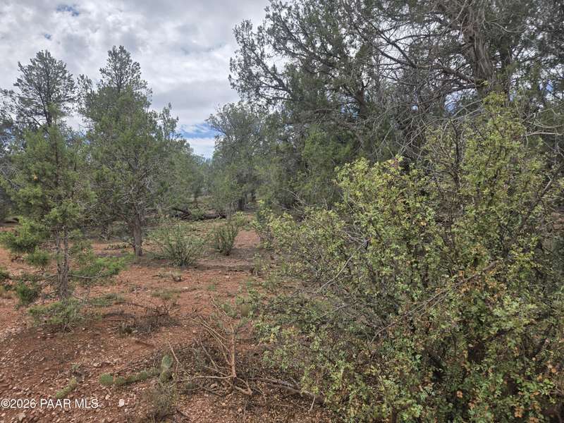 268 S Scorpion RD, Ash Fork, AZ 86320