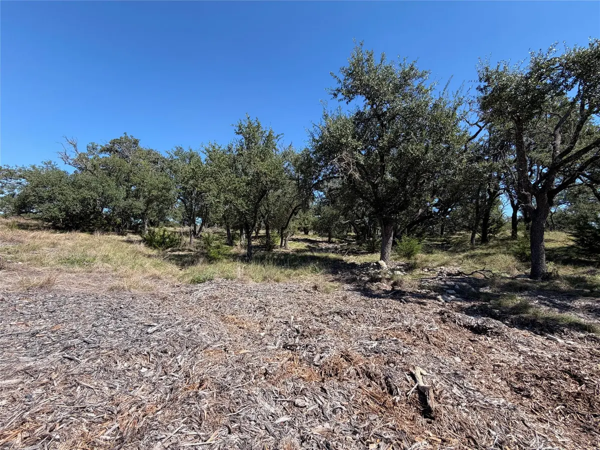 TBD Tract 28 Brooklyn DR, Harper, TX 78631