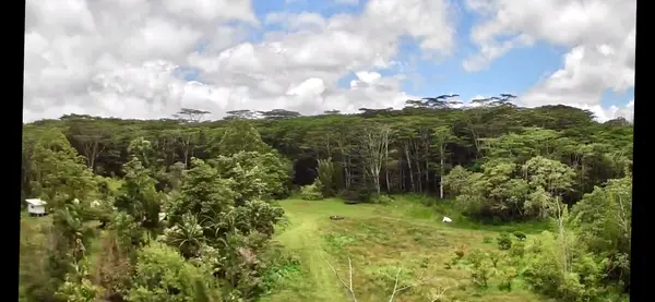 13-3980 PAHOA KALAPANA RD, Pahoa, HI 96778
