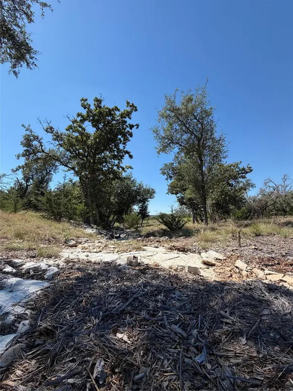 TBD Tract 28 Brooklyn DR, Harper, TX 78631