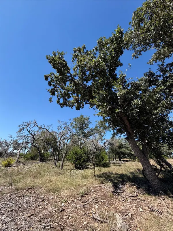 TBD Tract 28 Brooklyn DR, Harper, TX 78631