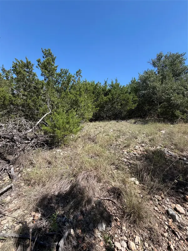TBD Tract 28 Brooklyn DR, Harper, TX 78631
