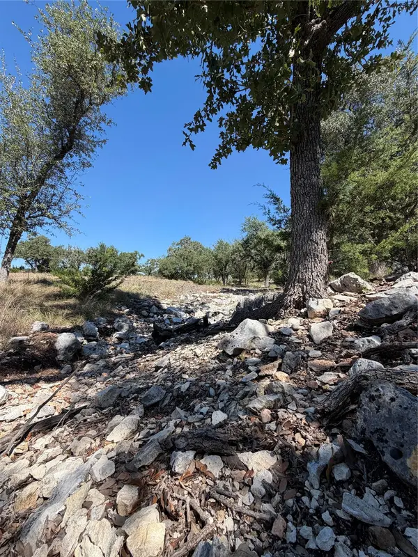TBD Tract 28 Brooklyn DR, Harper, TX 78631