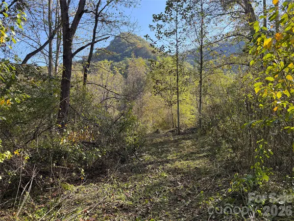 TBD Baltimore Branch RD, Hot Springs, NC 28743