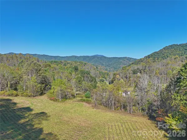 TBD Baltimore Branch RD, Hot Springs, NC 28743