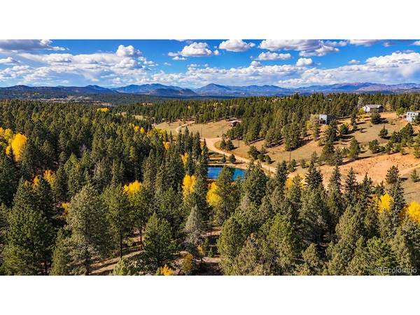 11 Nebraska, Florissant, CO 80816