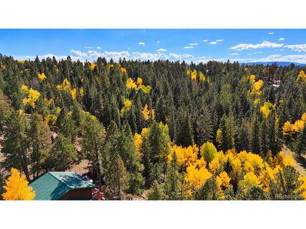 11 Nebraska, Florissant, CO 80816