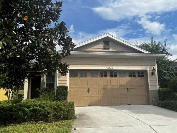 30348 LIPIZZAN TER, Mount Dora, FL 32757