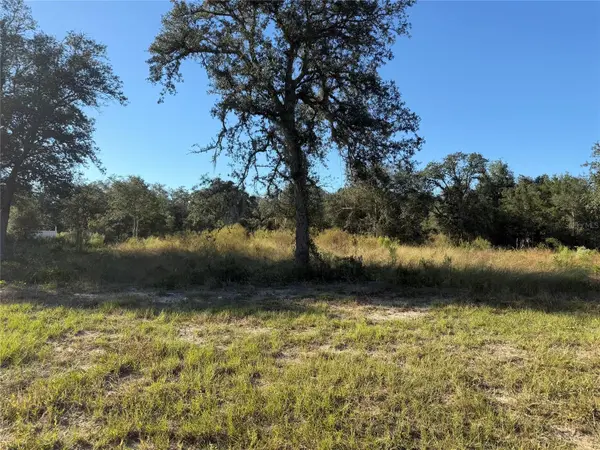 TBD NE 106TH TER, Bronson, FL 32621