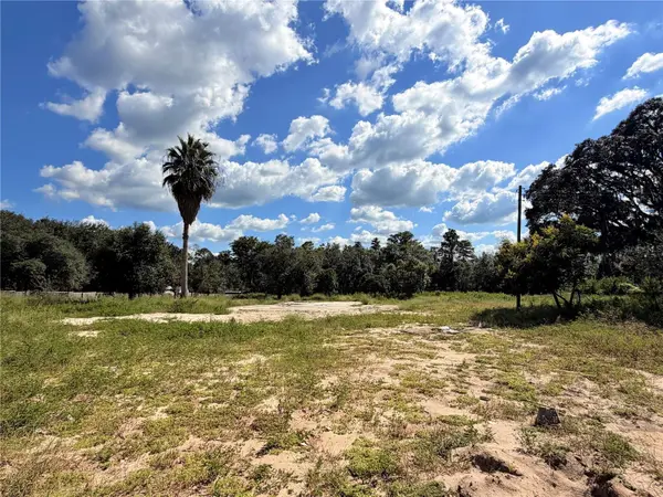 10306 DWIGHTS RD, Clermont, FL 34714