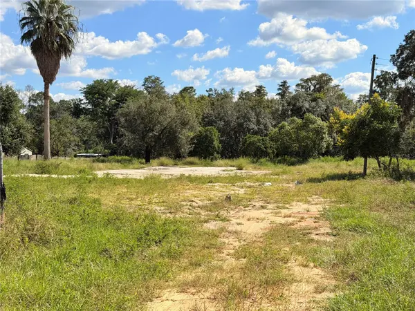 10306 DWIGHTS RD, Clermont, FL 34714