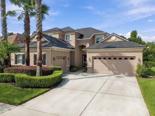 3339 DIAMOND FALLS CIR, Land O Lakes, FL 34638