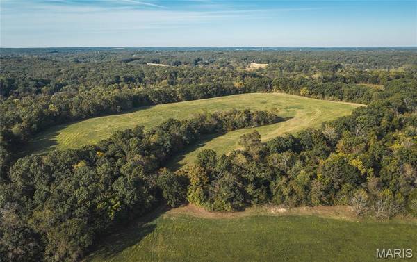 000 Long Spring Tract 2, Steelville, MO 65565