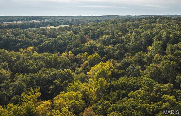 000 Long Spring Tract 3, Steelville, MO 65565
