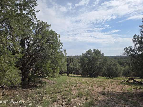 268 S Scorpion RD, Ash Fork, AZ 86320
