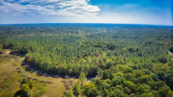 0 Burnett Mills Road, Bolivar, TN 38008