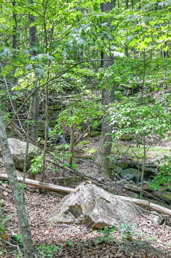 1215 Stage Coach Rd, Sewanee, TN 37375