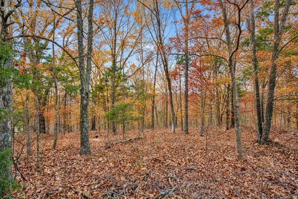 Lot 12 Hillcrest DR, Kimberling City, MO 65686