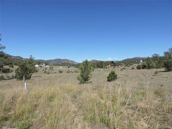 823 Harmon, Cotopaxi, CO 81223