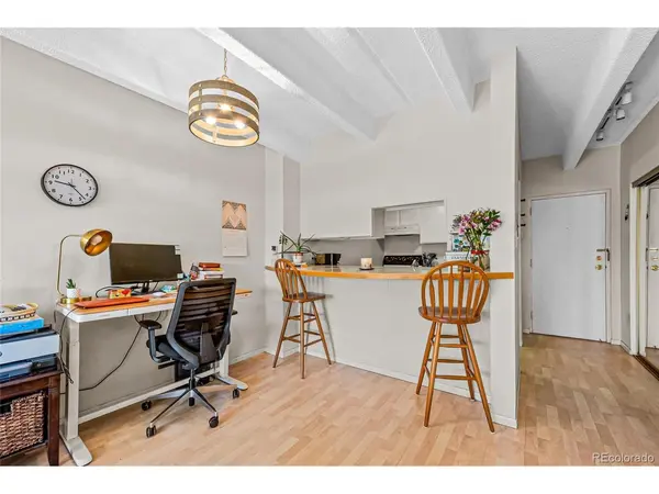 1265 Elizabeth #505, Denver, CO 80206