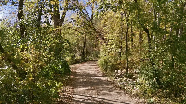17639 Raymond Ave, Richmond, MN 56368