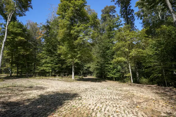 4 Highway 149, Cumberland City, TN 37050