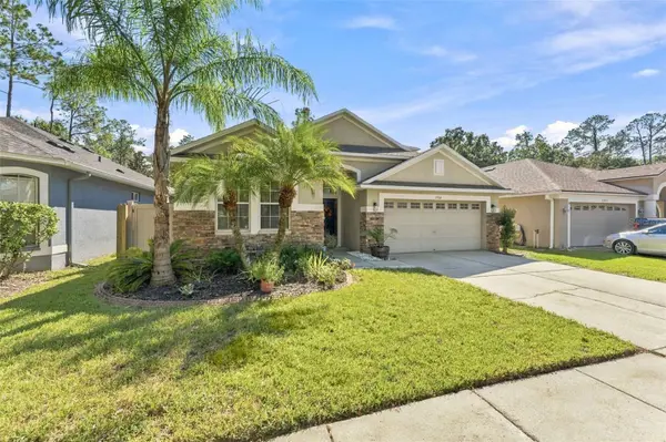 21916 WAVERLY SHORES LN, Land O Lakes, FL 34637