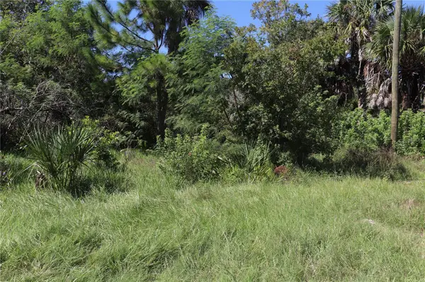 10501 PINE ISLAND DR, Weeki Wachee, FL 34607