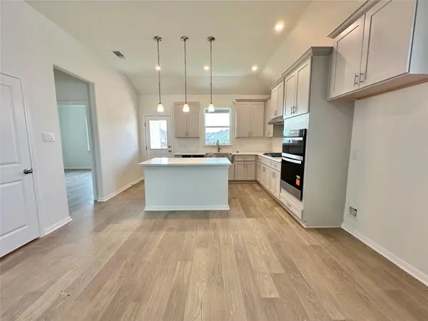 339 Elephant Island LOOP, Kyle, TX 78640