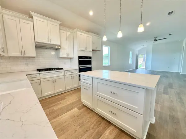 526 Elephant Island LOOP, Kyle, TX 78640