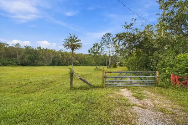 19135 N DALE MABRY HWY, Lutz, FL 33548
